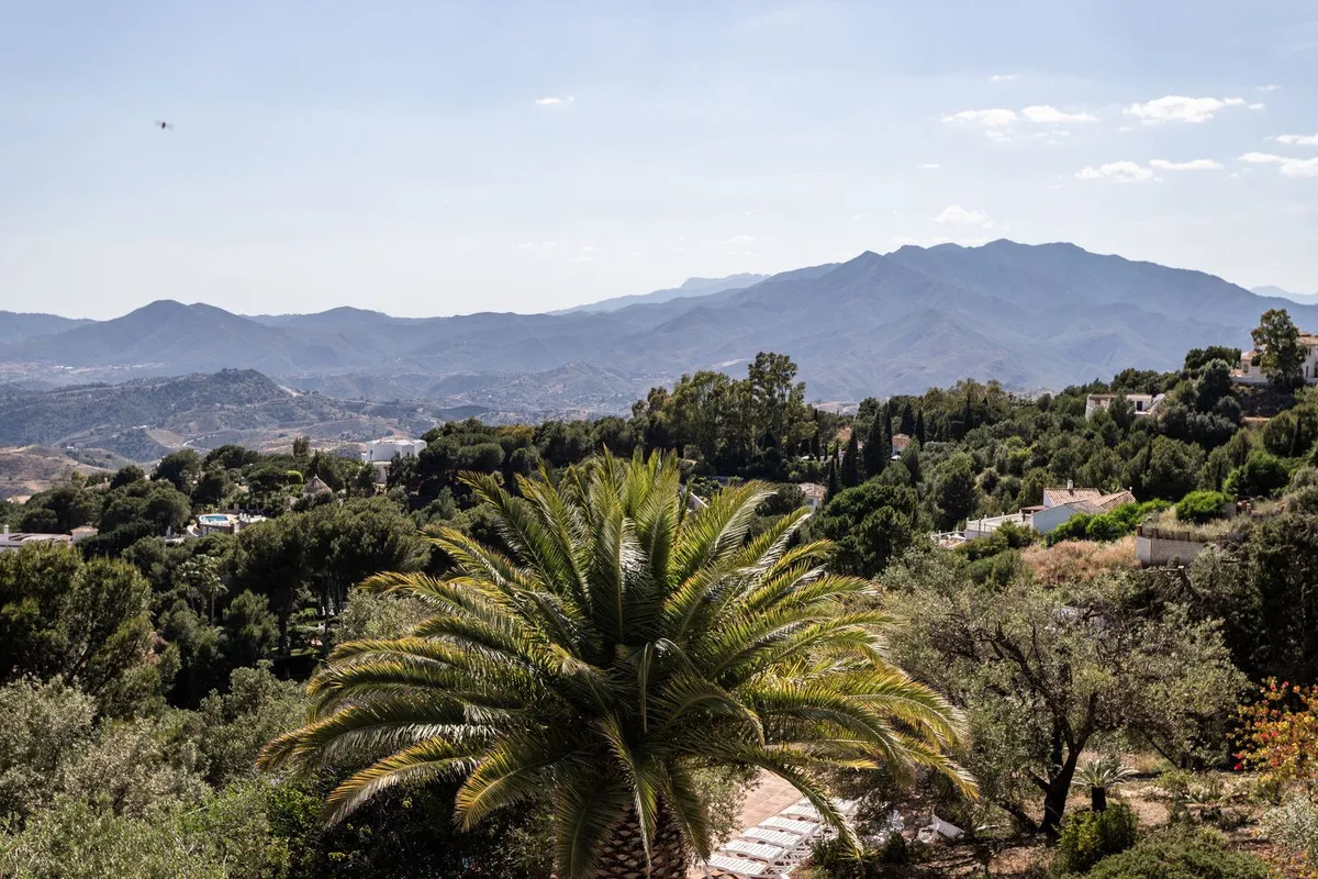 de18fab1-09ca-42d7-acd8-78b3ba28724a