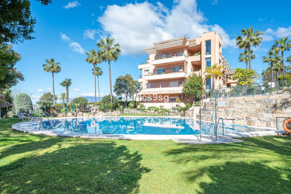 733d6e91-9771-4b73-89b3-1826031ecc29