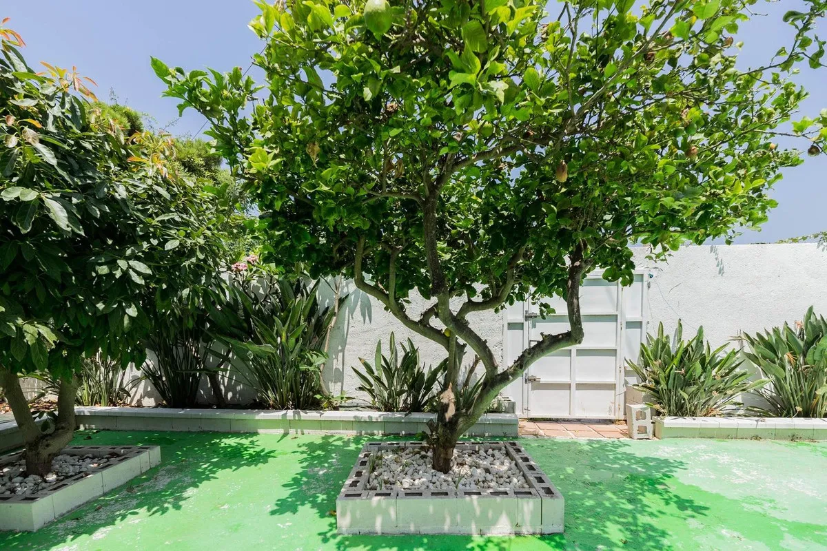 cfff673f-5c5c-4398-8a46-80761e706548