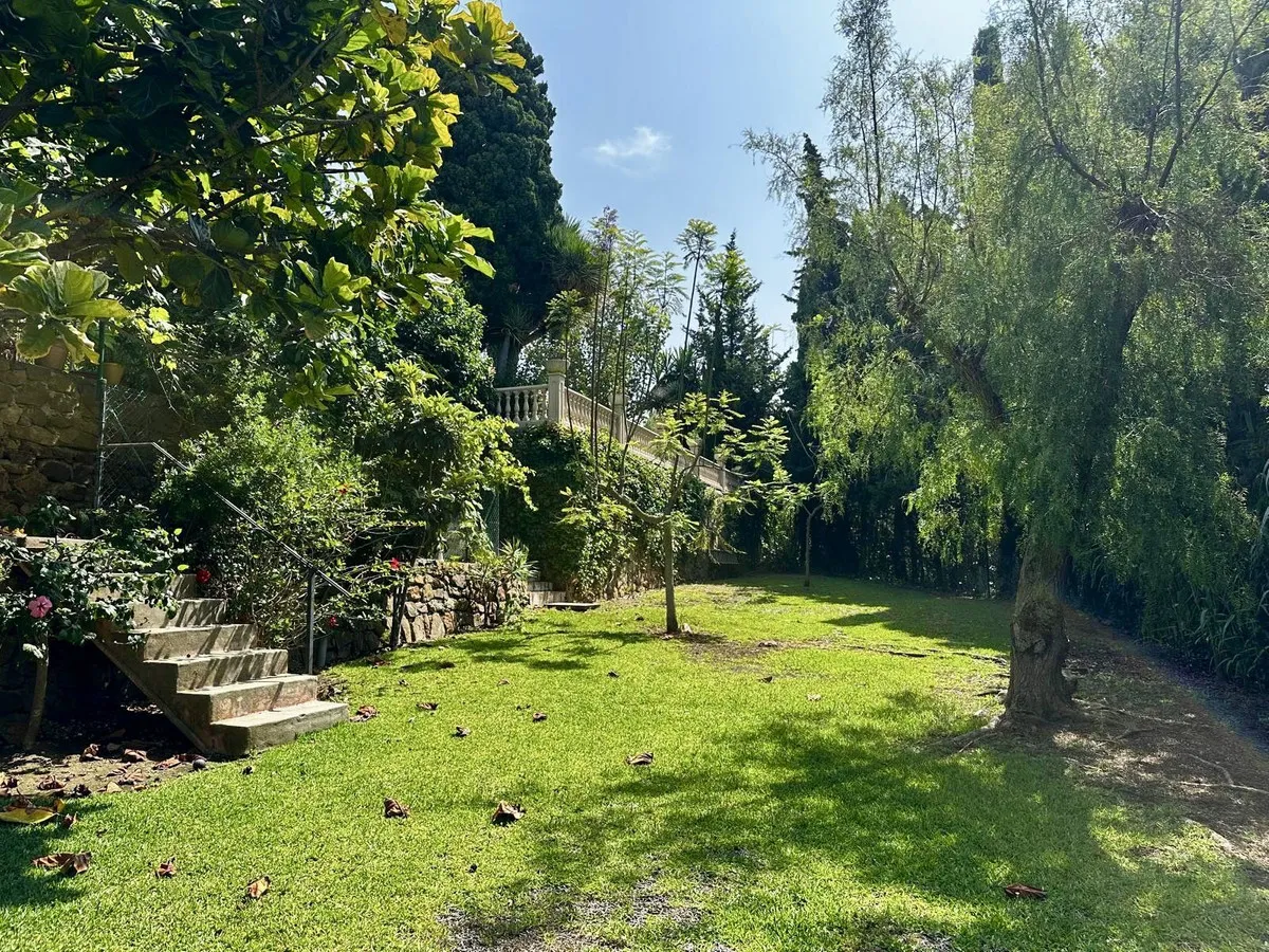 391c491e-9c42-4a36-98b6-04aa34faf154