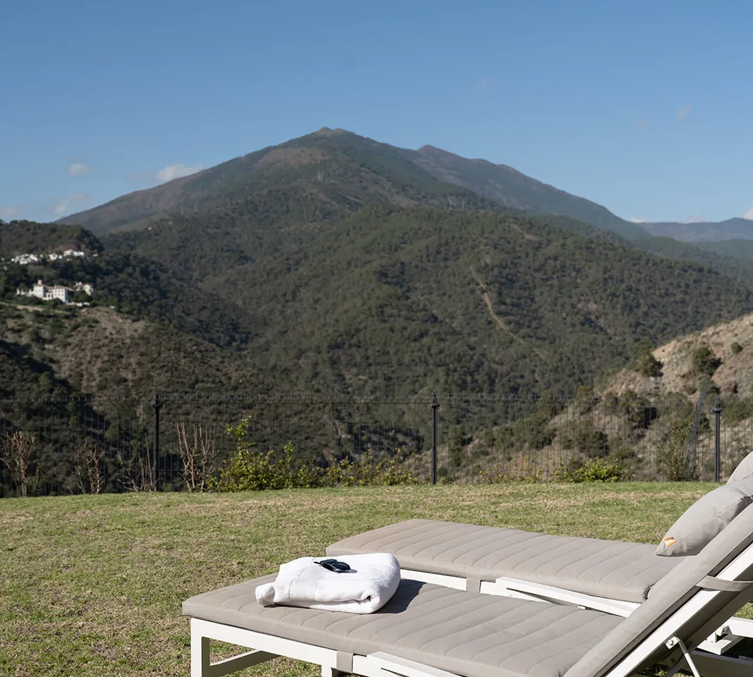 ca04e06a-550e-4d83-8222-7d14fe831a30