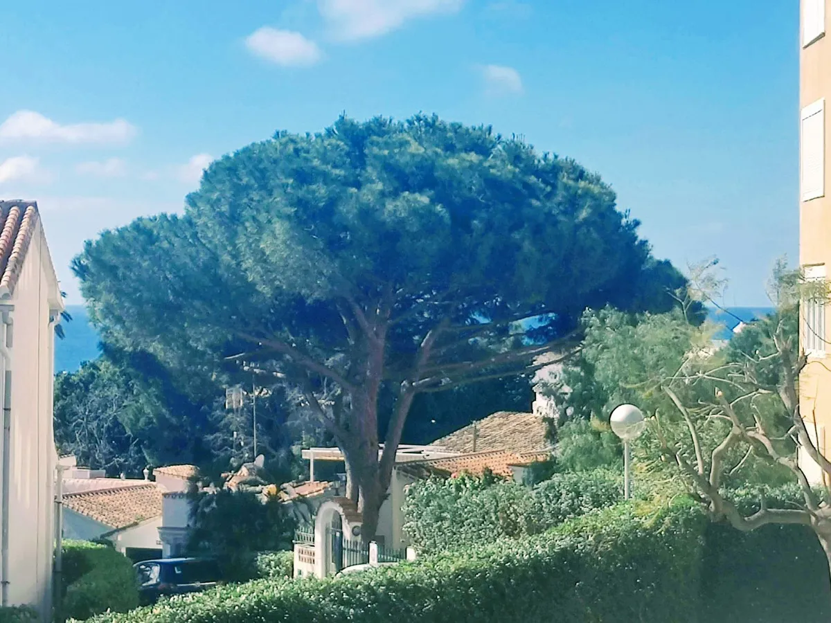 a59cdd45-adca-4ebb-b3f9-8562c5b43ebe