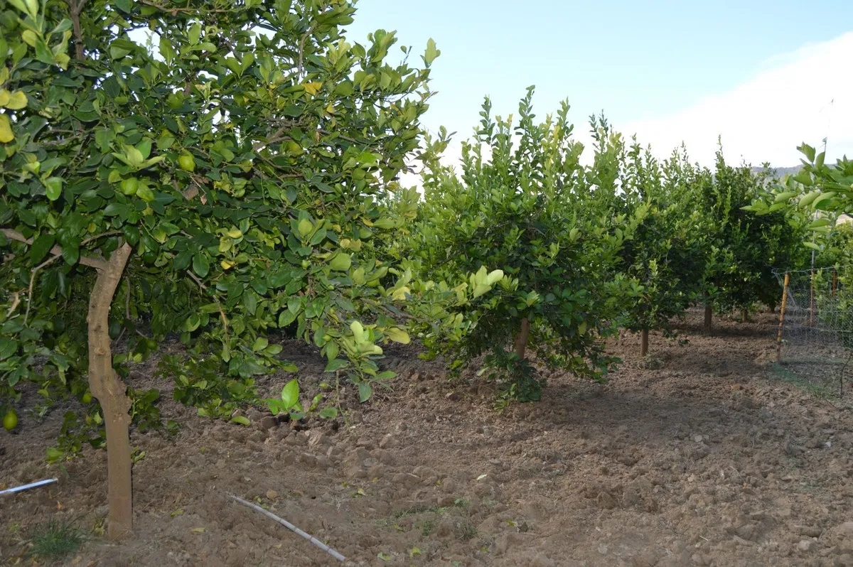 1877aef2-429c-48dd-8d0c-3a1c2f1b79c9