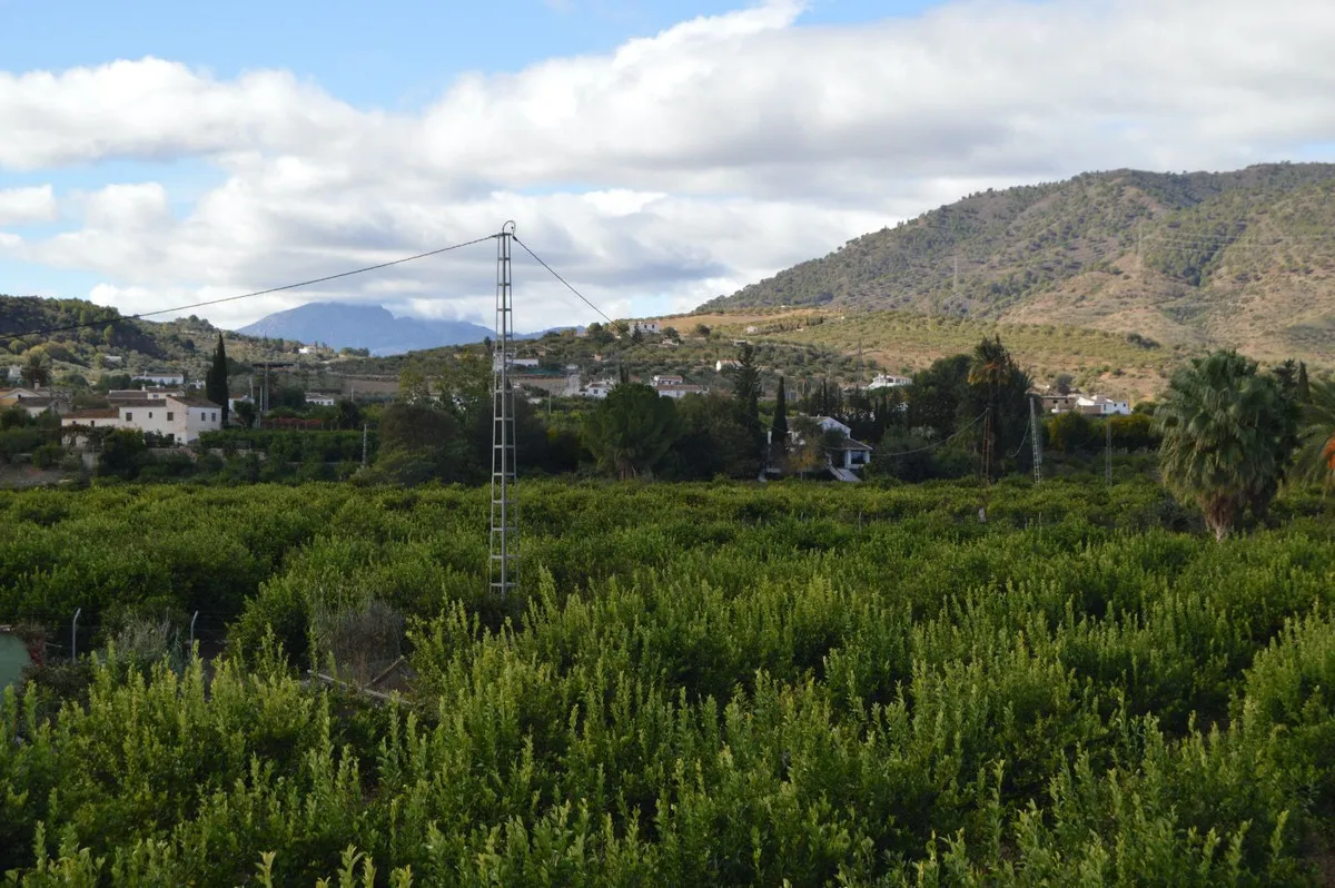 5d5c8855-4f8c-4729-8c44-c94d1d239975