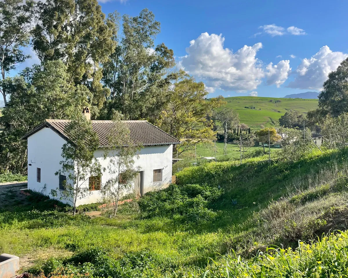 cfc39623-04fc-48e4-b7b0-e3de78a1f297