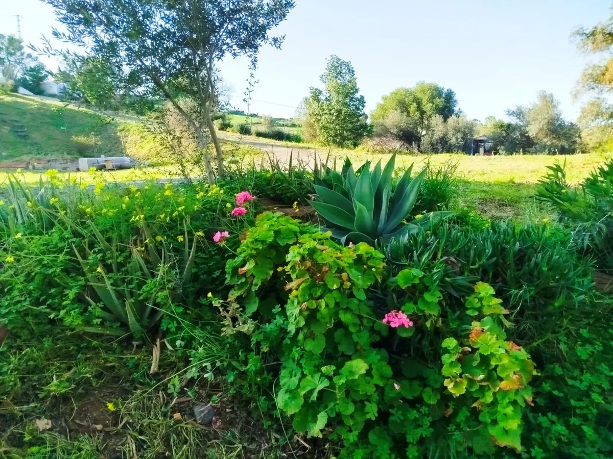 fa37151b-df64-44d0-be1b-8c53751f493f