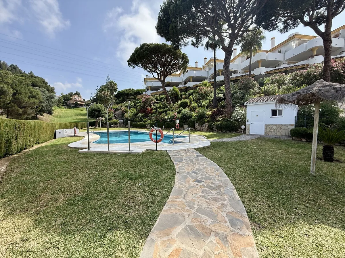 65dc2025-2977-409c-97c0-36cf5a1b391c