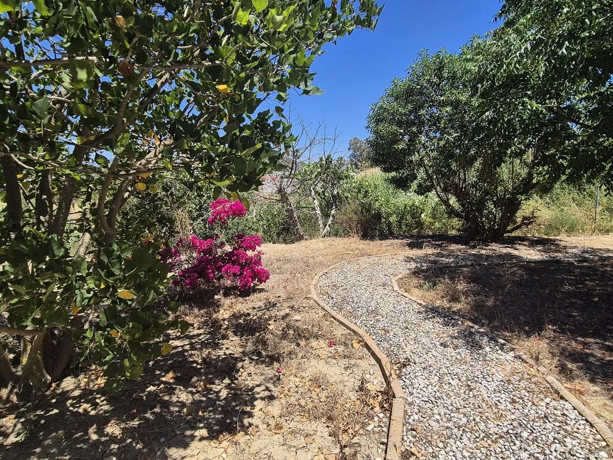 6cce9734-c9d2-4418-8c51-c7c1728b274a