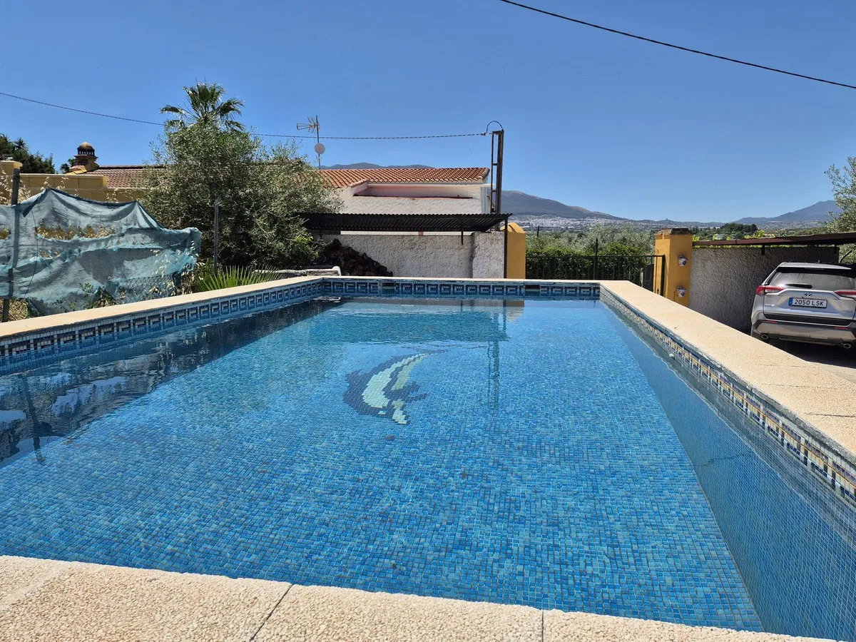 6dcbb589-cf88-4623-9d82-349d733f6b53