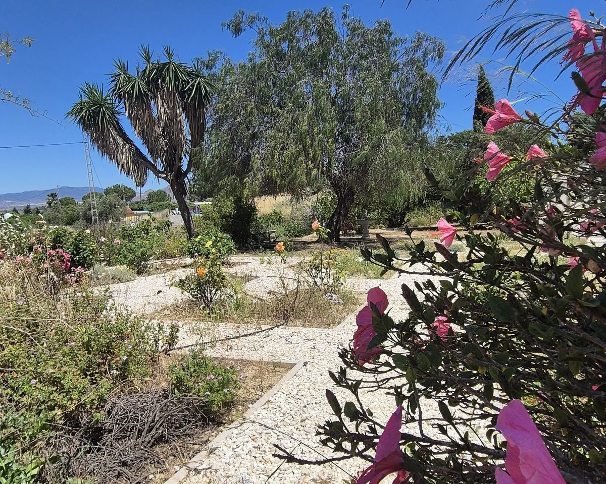 734ce1b8-e277-49fe-870f-0935de2d686a