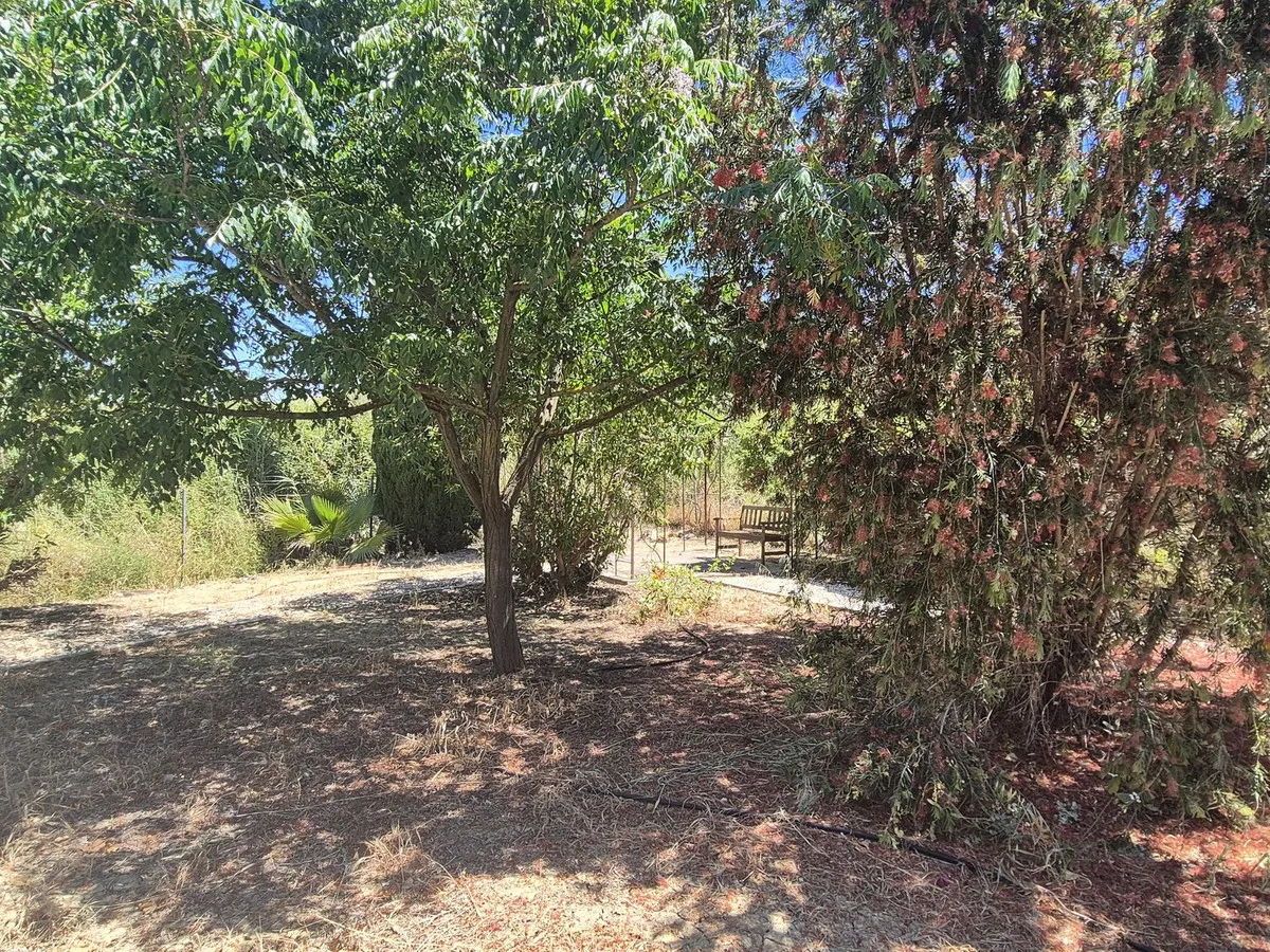 90691f1f-bbed-484e-984d-ff1d113f7fc9