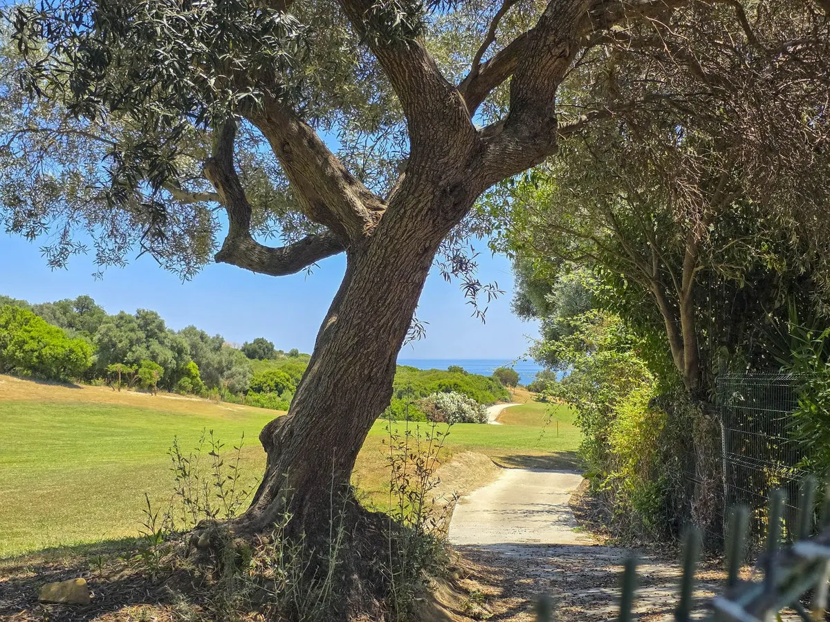 98e38a91-0136-4a45-a7c3-559fe8e2dec8