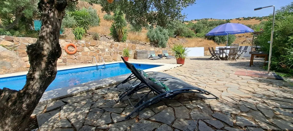 1193f8ed-85b3-4e5c-a465-b11d34025d97