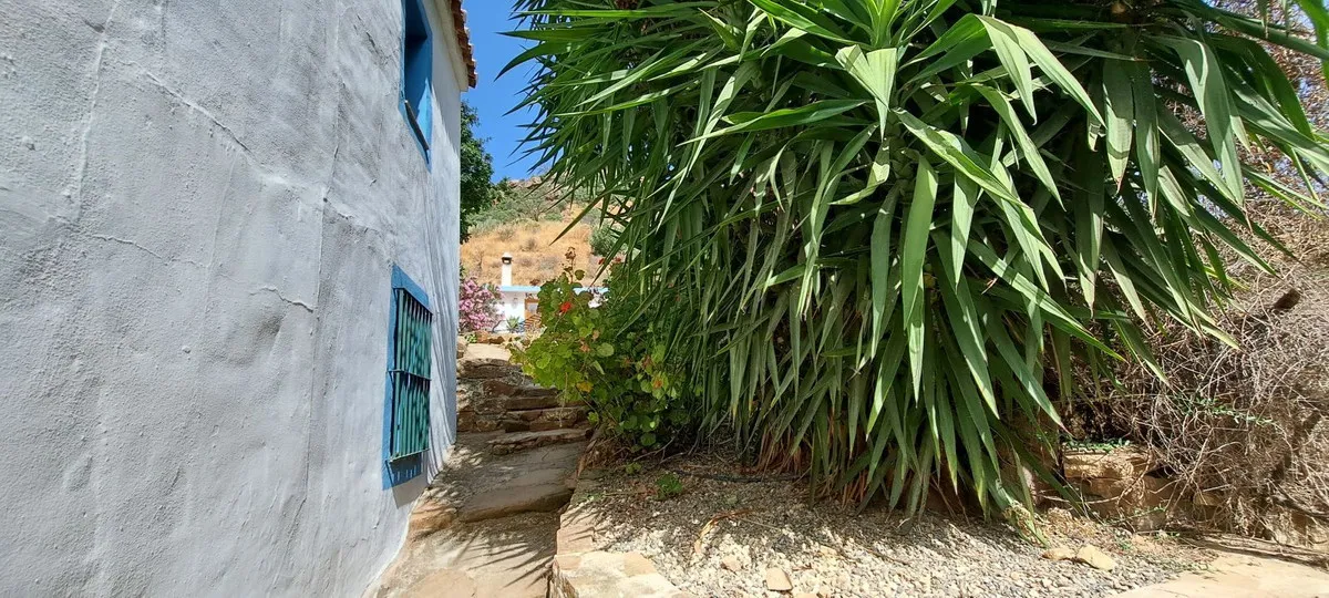 2487bc6a-a52e-43bb-b692-06cdd3e09d5e