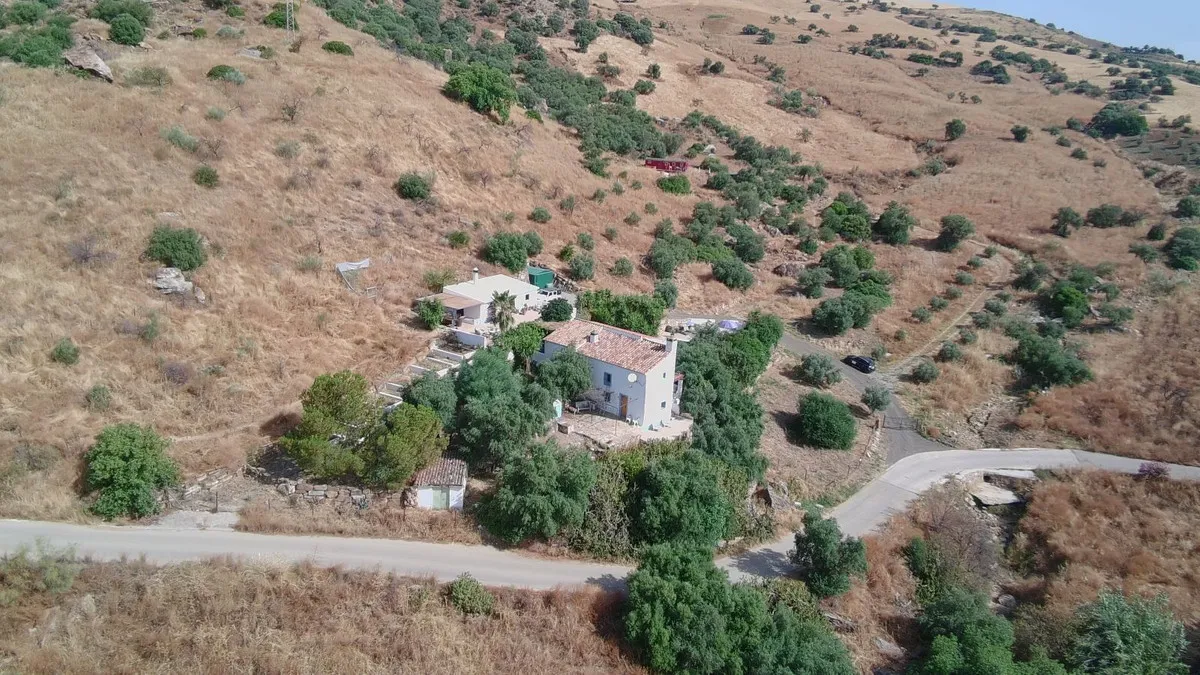 39c02c95-b517-49f6-974d-3425443ac9a2