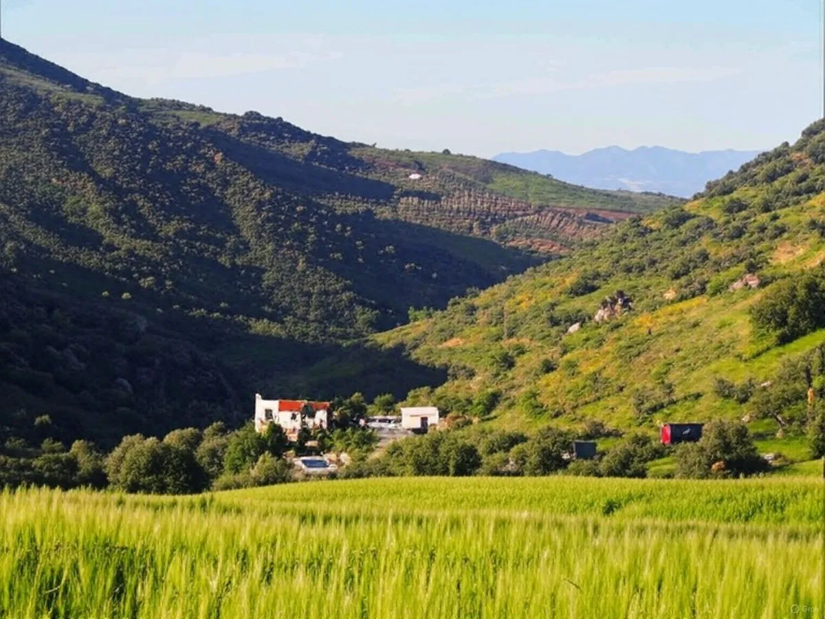 723530f1-4682-411c-951e-38c65bc89e6d