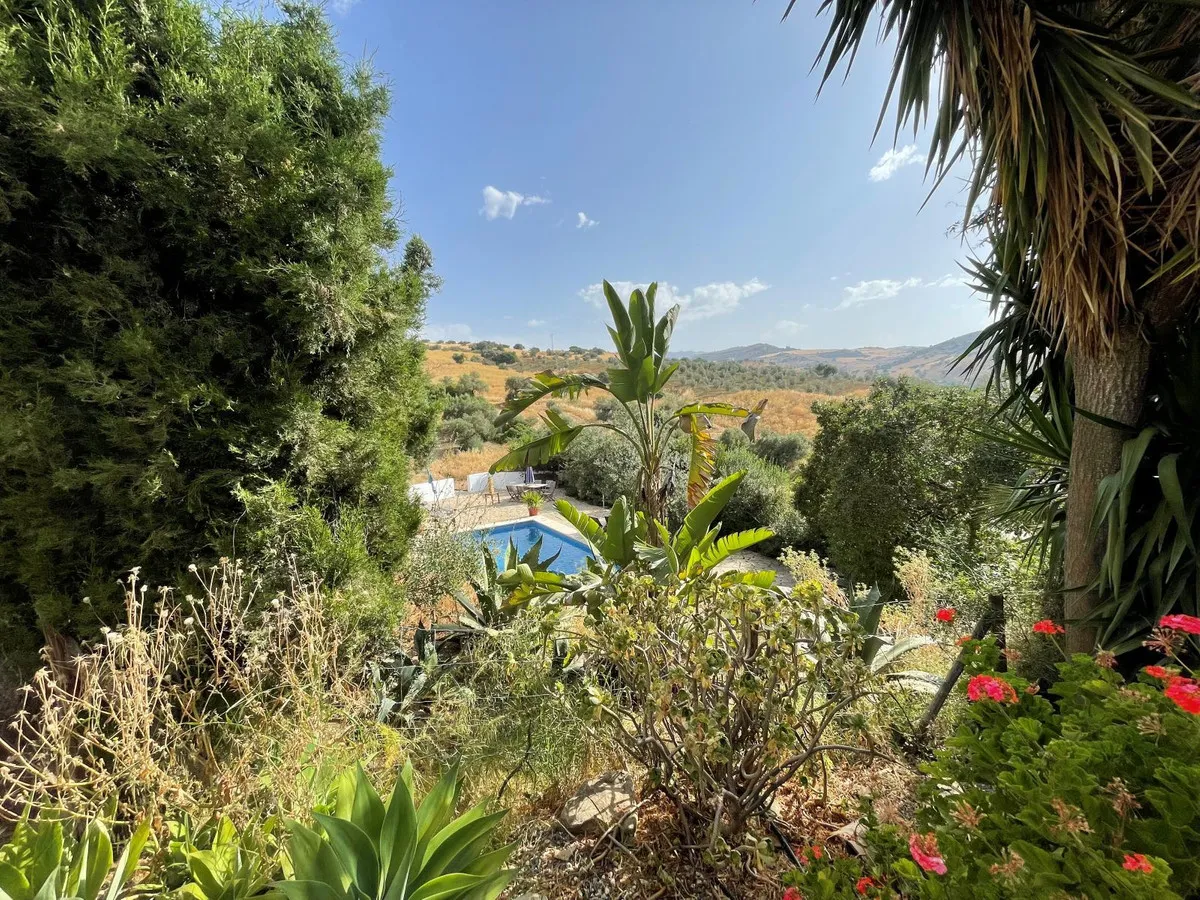 8133a046-18b3-4479-a9dc-eeacc2a92f6a