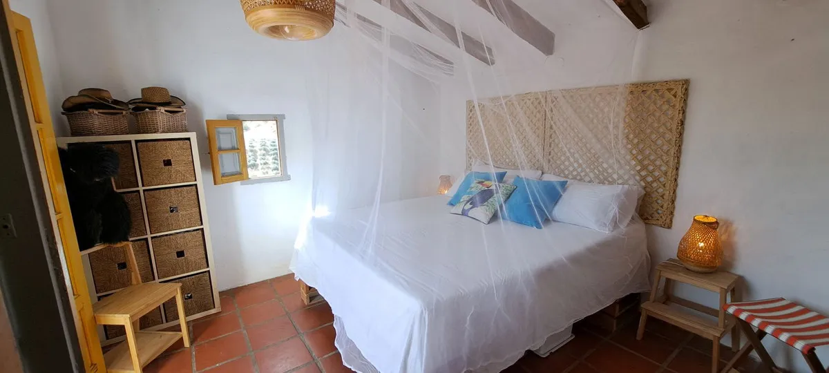 c6bff173-1dd3-4eca-a0e2-18ef829f5e2c