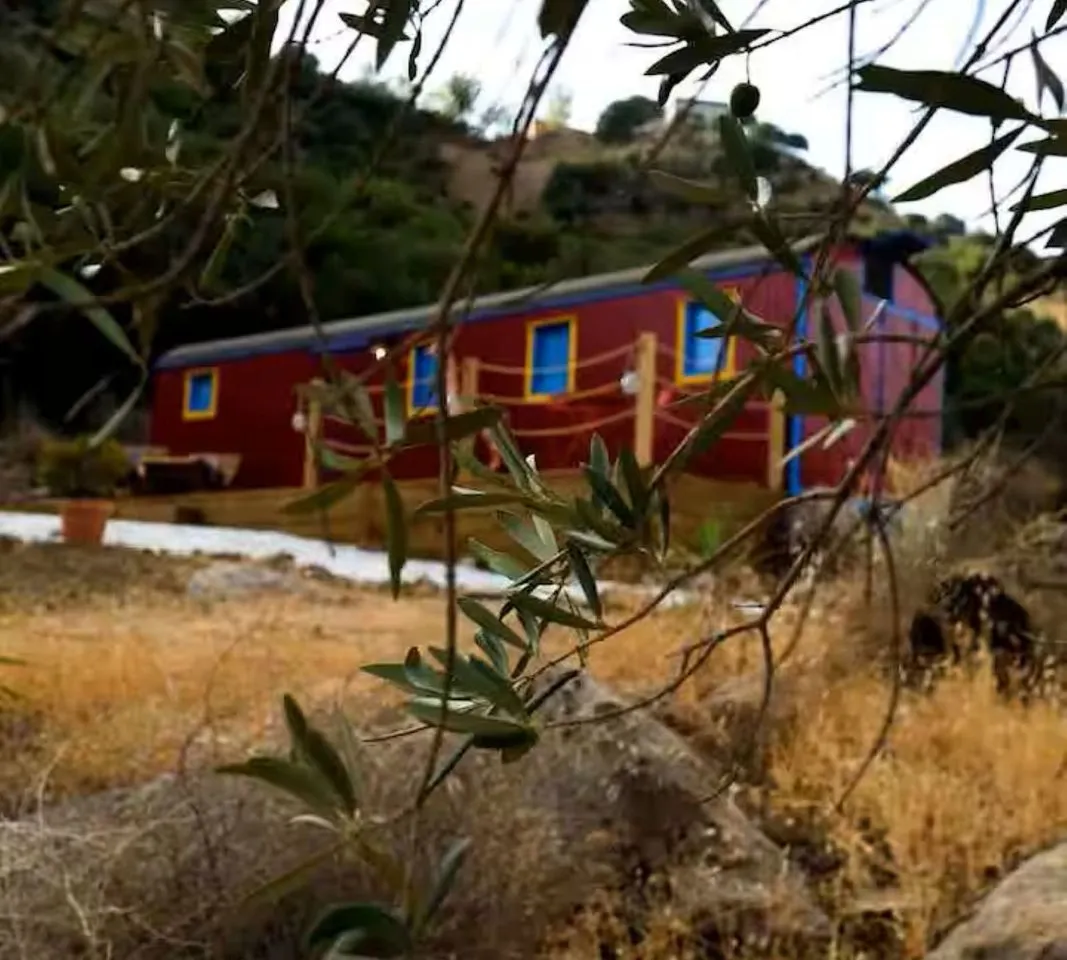 d12c0c4c-4977-44fb-8fdd-410120652298