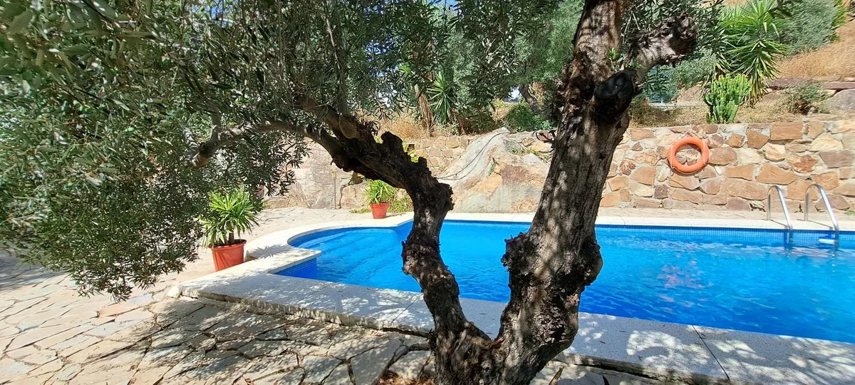 e81c5d4a-98d3-4f5e-8027-1a432dc5d415