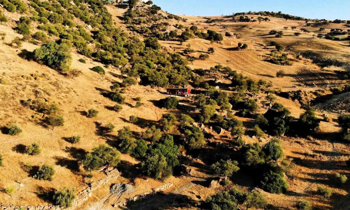 ed332591-b3a7-4b96-899c-1a170d914b8c