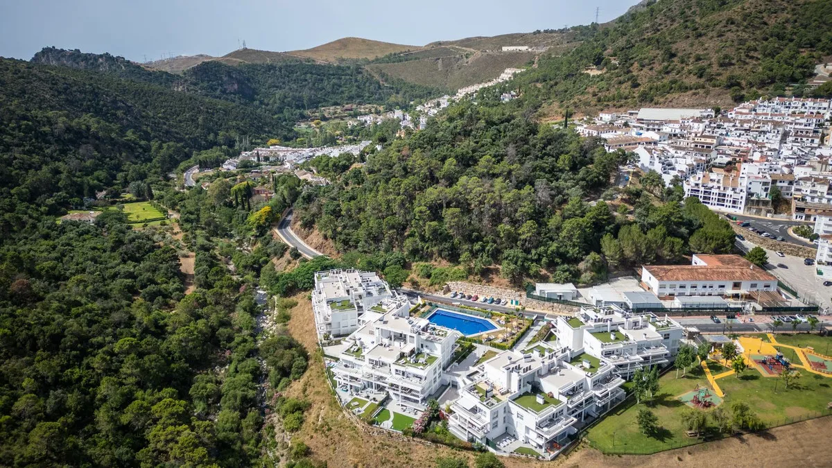 531512ee-7008-48d8-b20d-e3c435a725d5