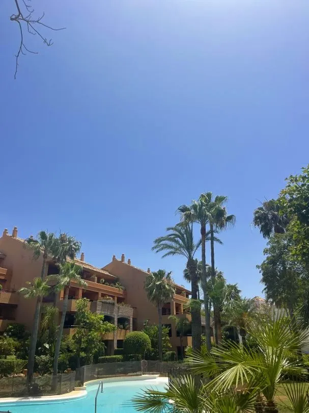 62433926-db75-4510-80c3-913c3d7b75ff