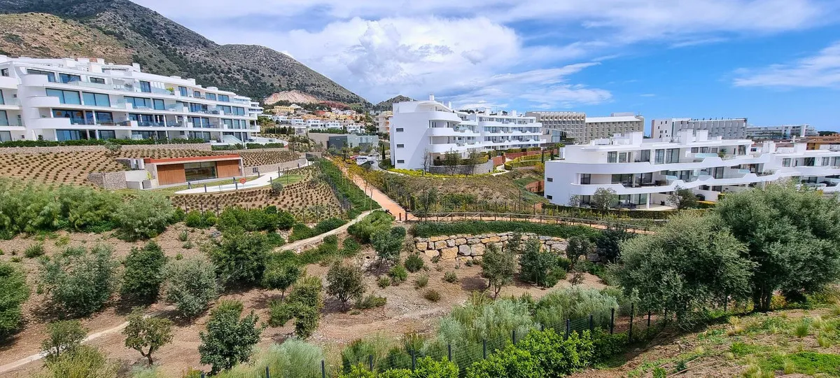 7ff33ede-304b-4dd0-a132-5be1dd76ddff