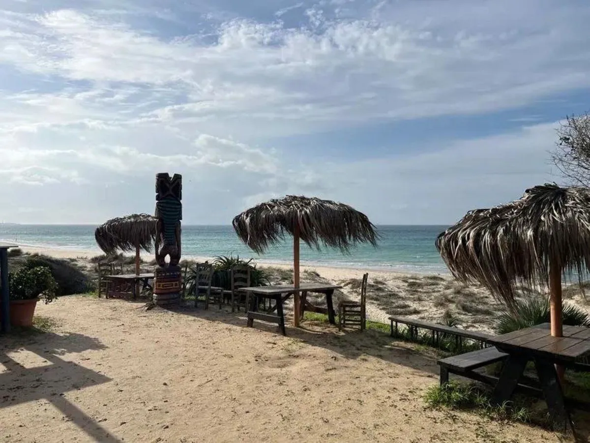 ff82fff9-9ed1-4e3b-a3f0-4a3d0933bcdc