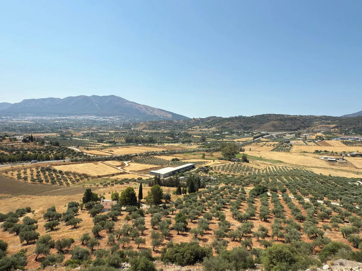 695511f3-acc5-4d5e-8421-290b6e550778