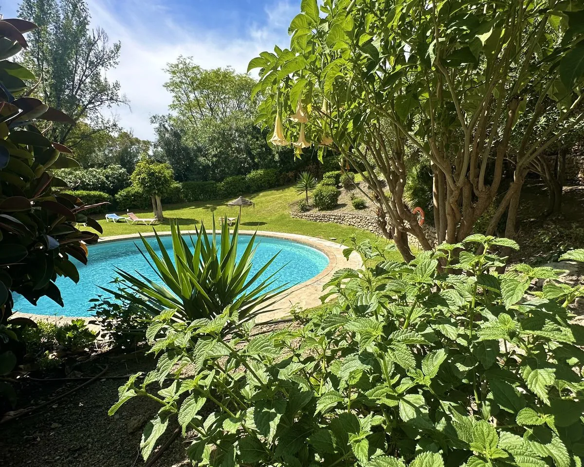 3dcd62cf-300f-42f1-945e-bed82a0da910