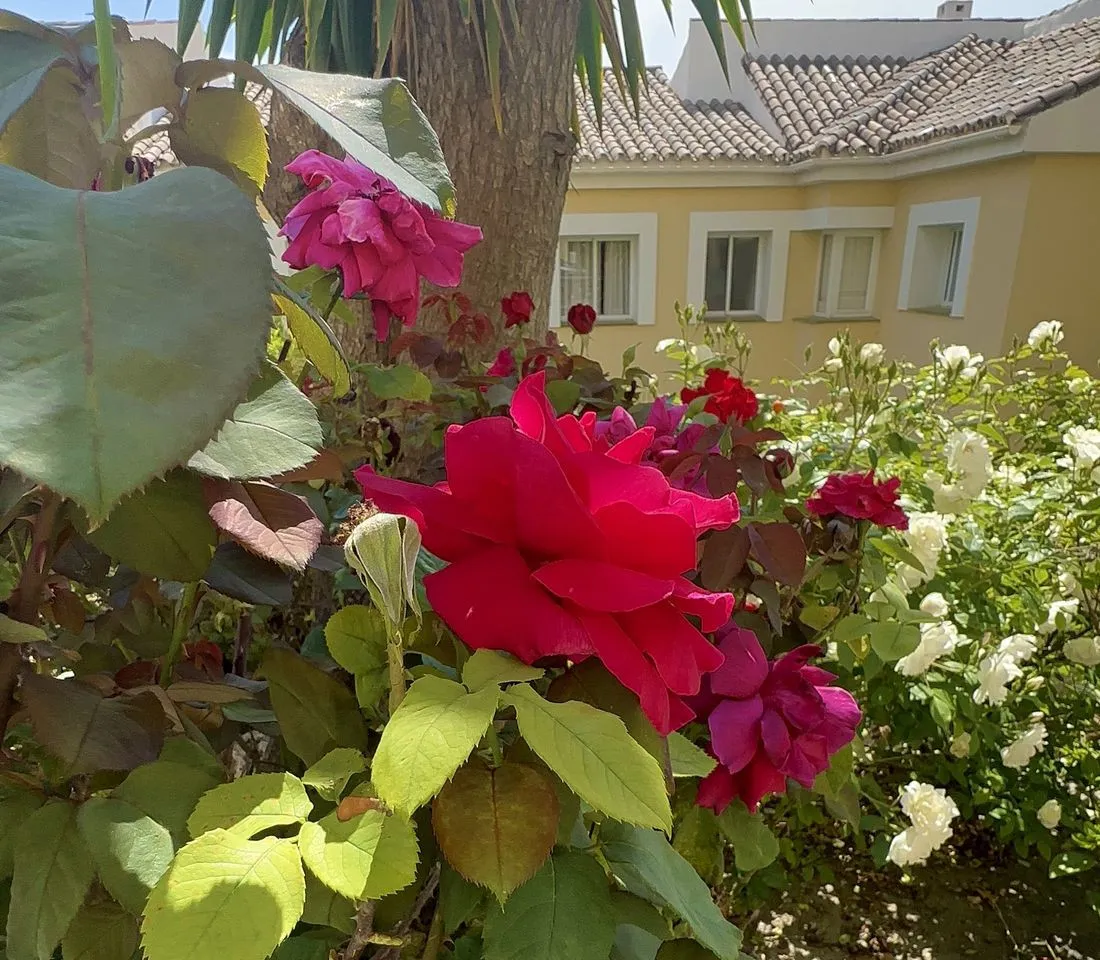 8c048a06-0c41-4500-ad01-351300ab2264