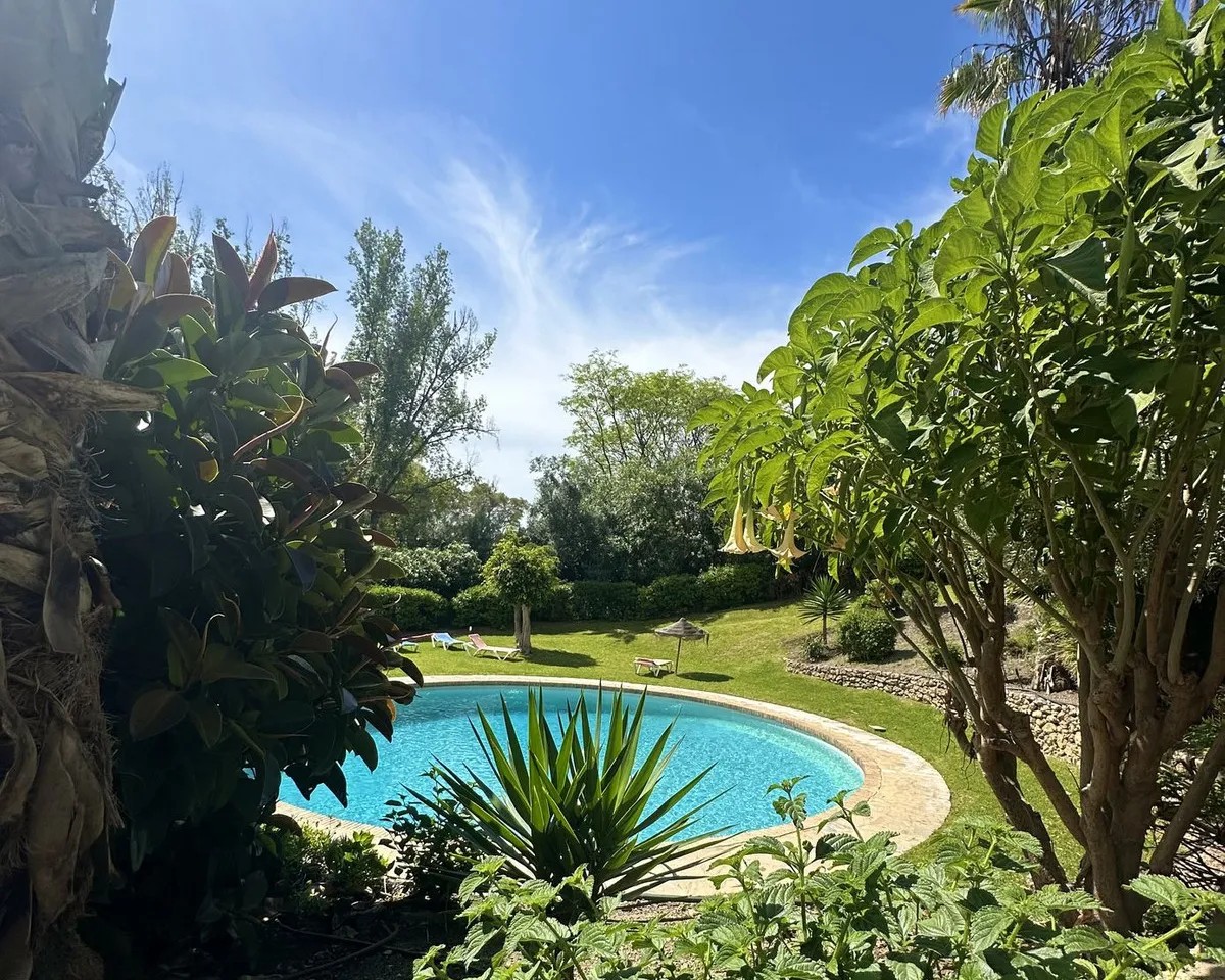 dedf6d46-afce-47cf-b0a3-8278e0f5adcf