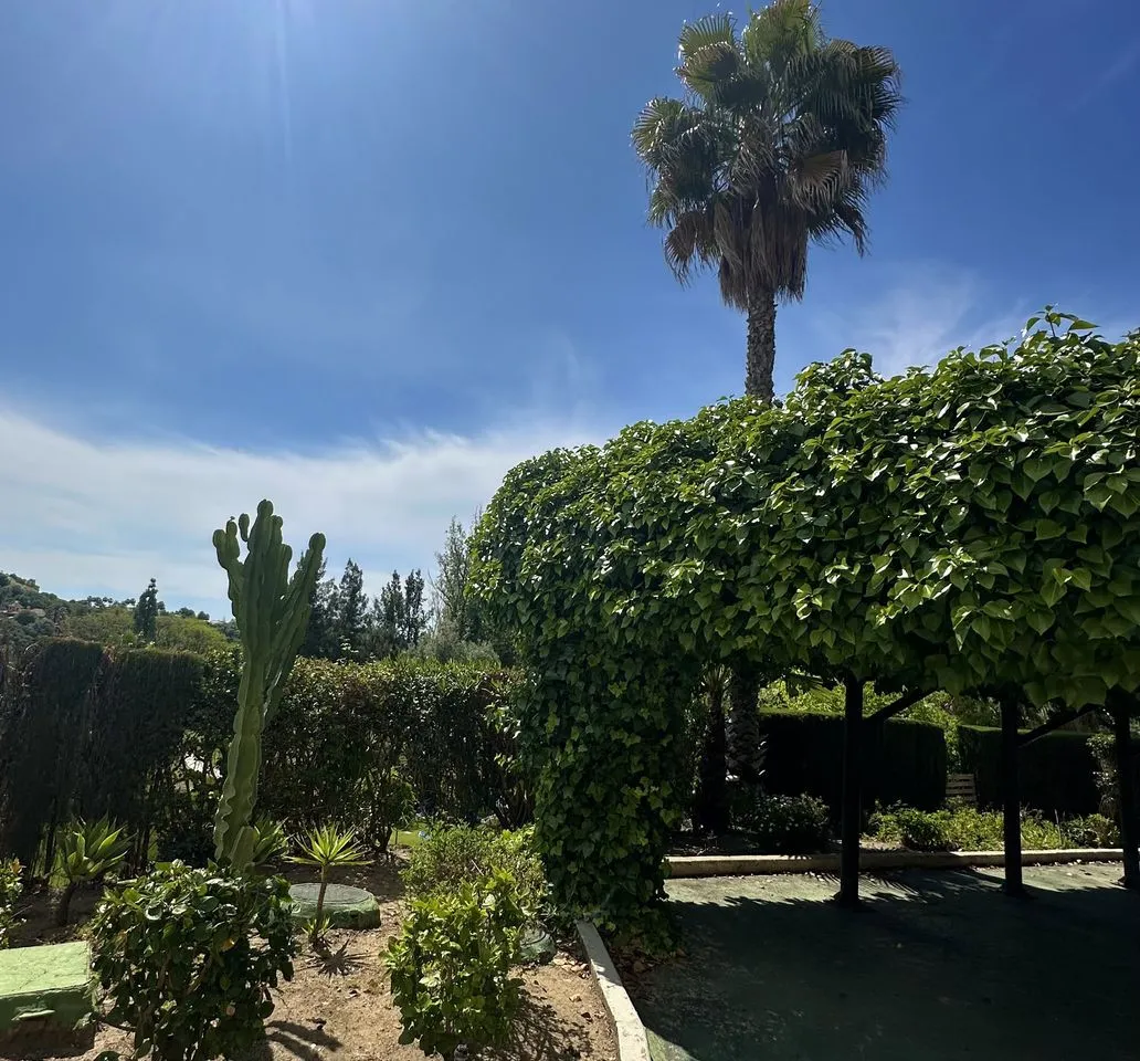 e6e8c1e7-7fcc-4300-92f5-10926f58aea5