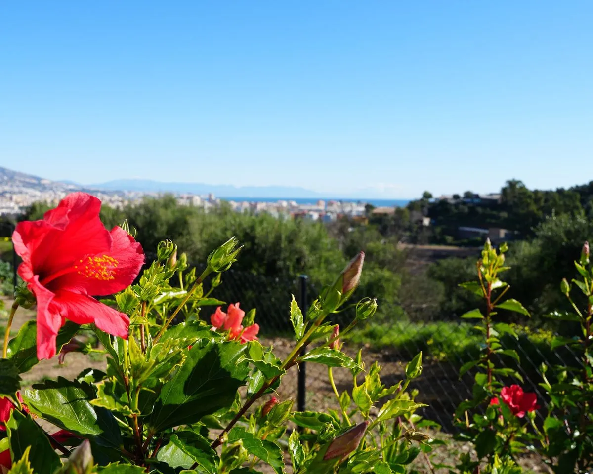 5e5f8ed0-4a0a-4b4b-bf02-dc4f98a367ee