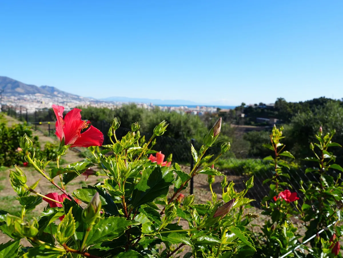 a035d1f0-bdbb-47d1-92d1-78ff2ec20250