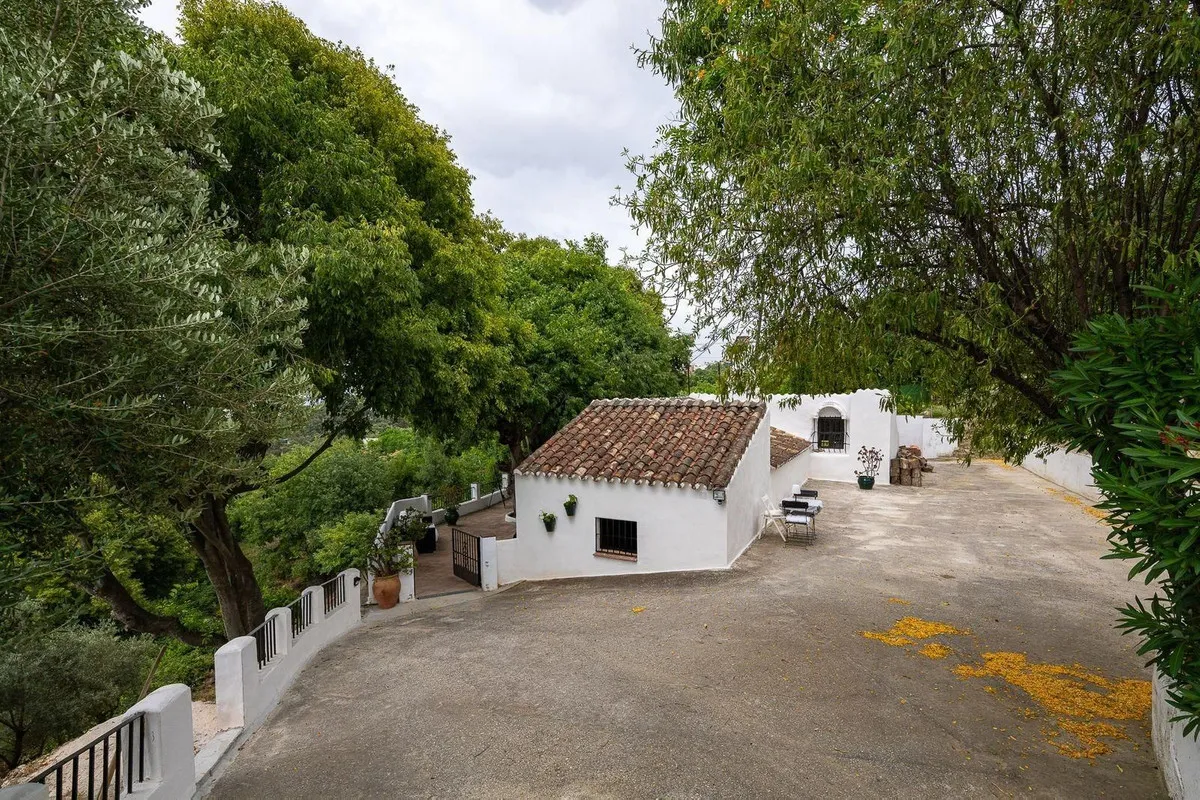 b7b2668a-4c28-47a5-8d0a-c0b3339941a2