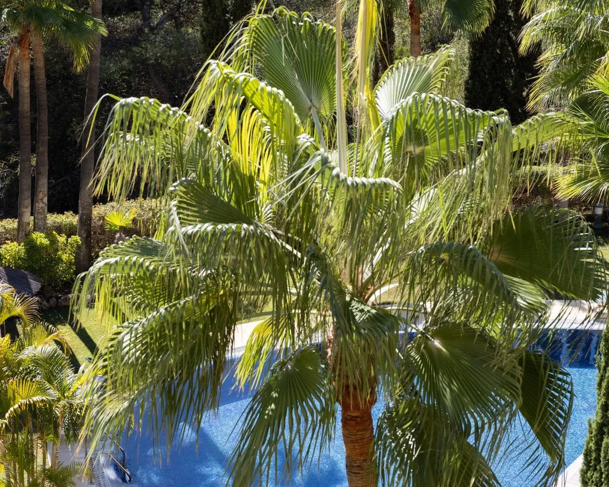 f106bb99-9ef1-4dda-8d2b-aa0655d29670