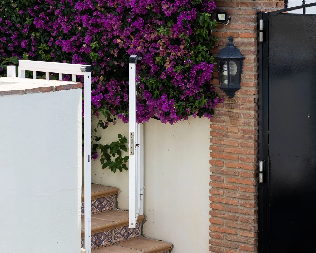 0c8339d8-5a39-4aea-bfae-ddb70abf8f8c