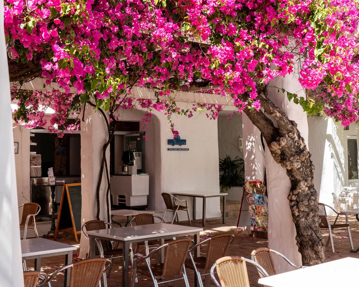 e847c465-aa2a-4007-90e8-d2ff506889ce