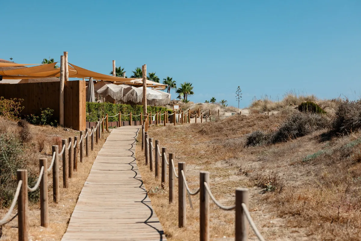 f8597da1-54d6-4fda-b7f5-a82bb36bdfe5