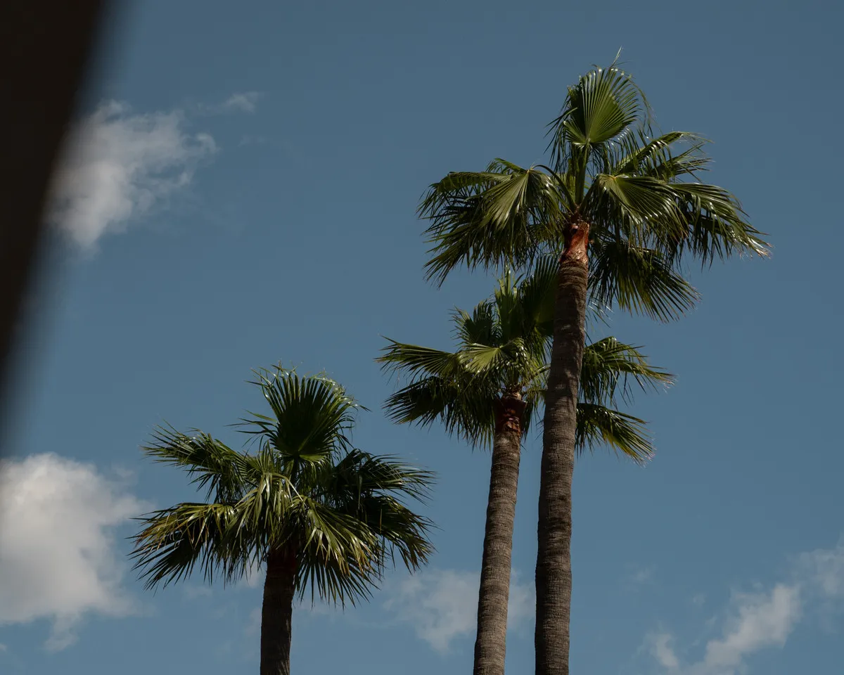 4d1b369b-b514-4d10-9a91-edcda3f05adb