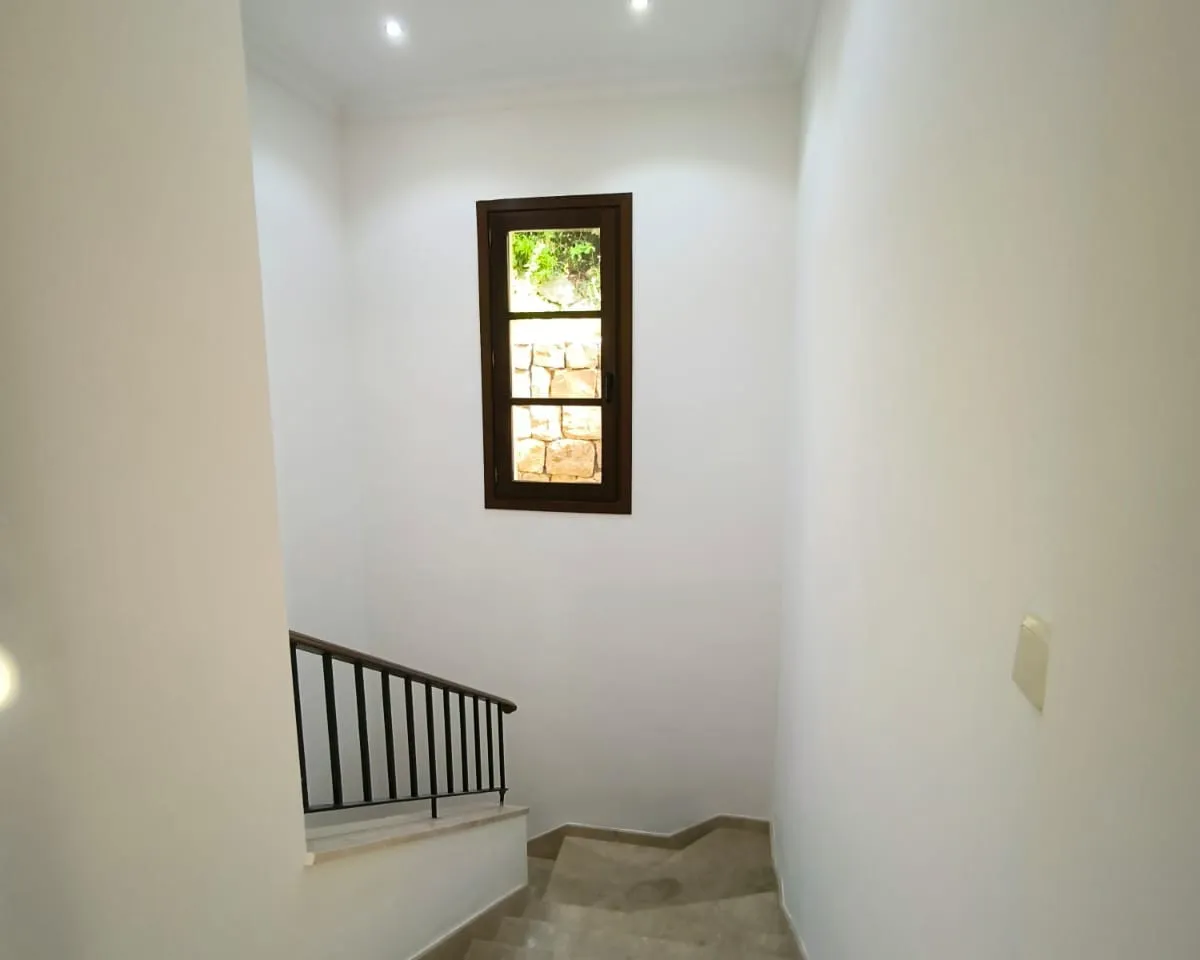 837b2579-2e8e-4625-8b13-af7f16d54337