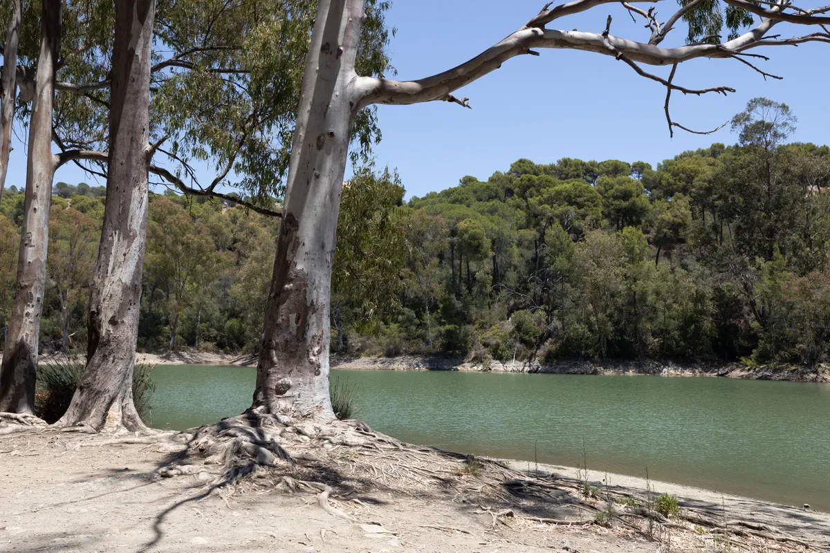 e236eda5-94bd-4127-b046-dc957e262402