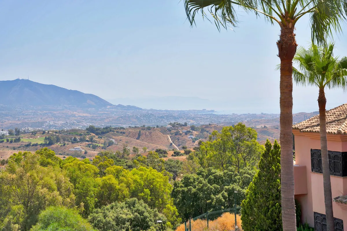 ed513153-64d4-49a6-9af2-615590836bc7