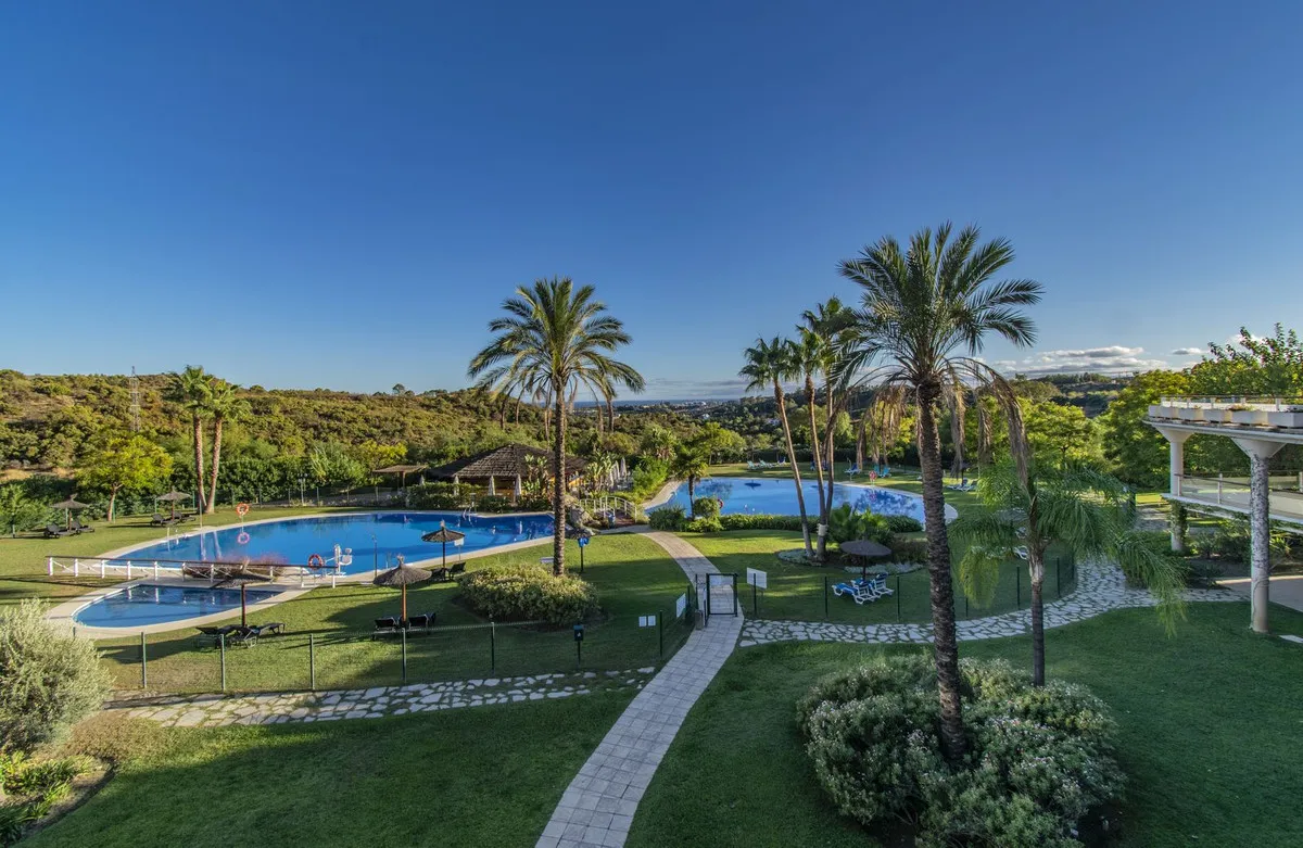 d5846aa6-ab01-49c9-91d0-4e3a7b8044f7