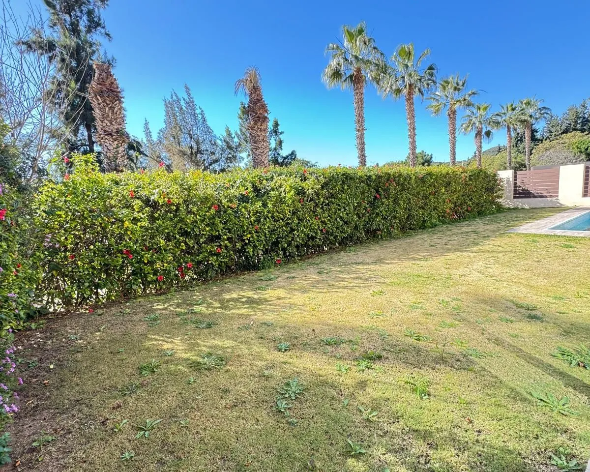 b6a5ac23-5198-47eb-aaff-fd77339b1e3e