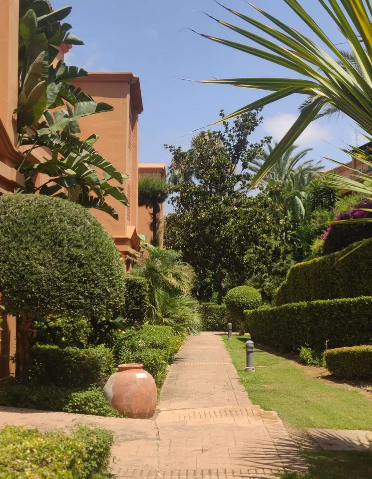 8b91e127-c145-4cd4-ad85-bbb713c654a6