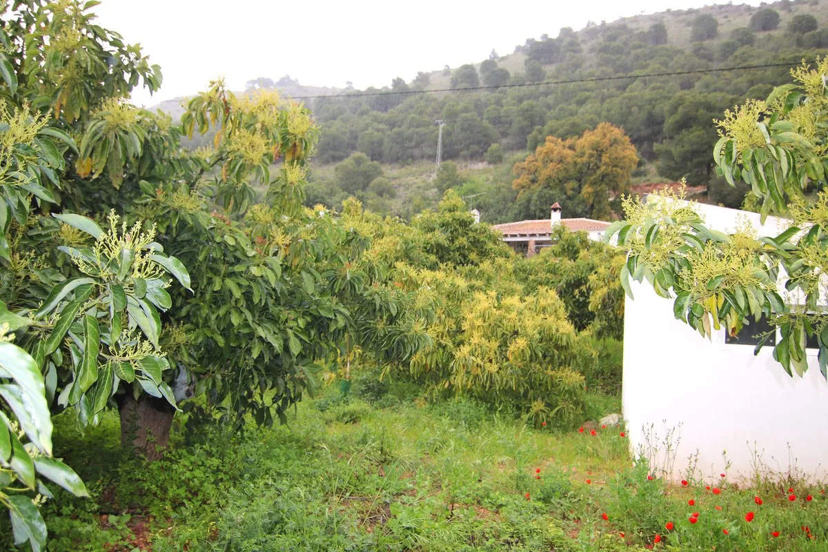 84ed6f8a-44eb-47b7-b0fe-a5947c2f58f0