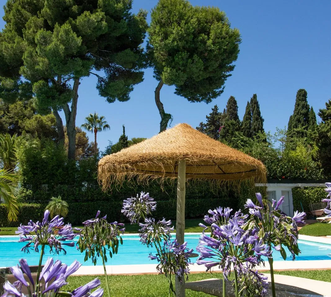 2a33cf05-3ad6-4357-8751-7febfdde5e0d